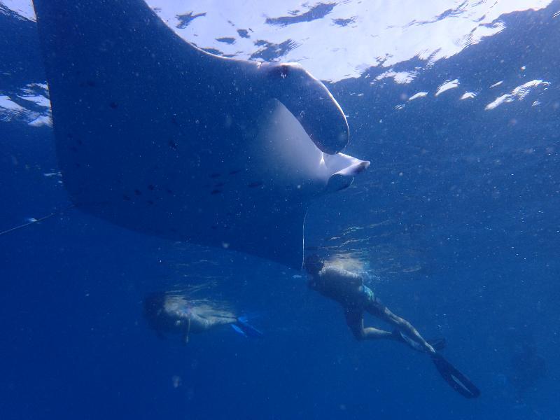 فندق أوكولهاسفي  بيت ضيافة سيلافي إن المظهر الخارجي الصورة